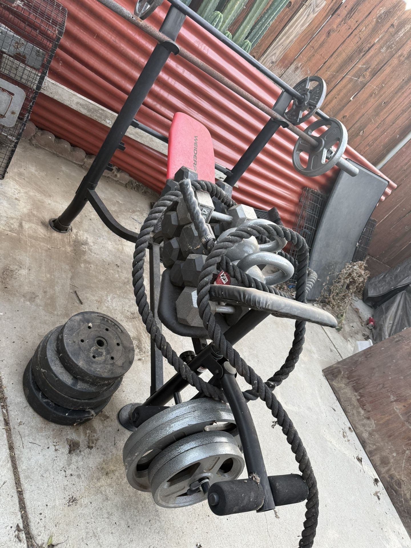 Bench Press With Weighs And Bars