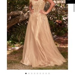 Champagne Prom Dress 