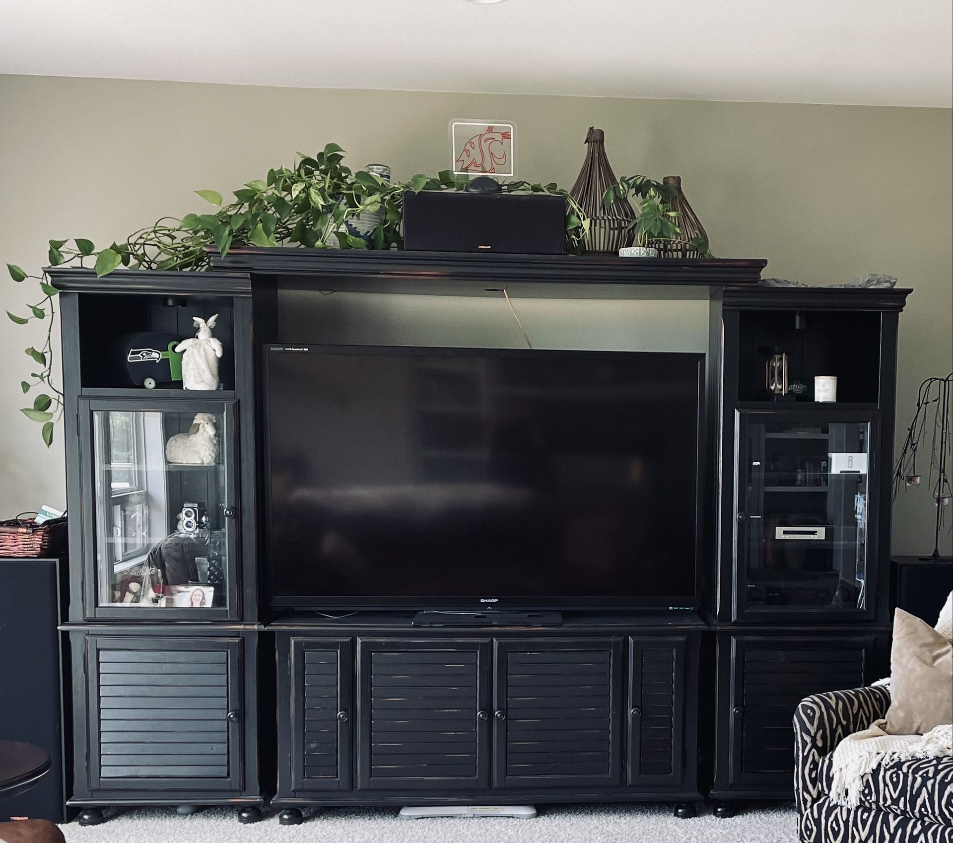 Tv Stand/ Storage