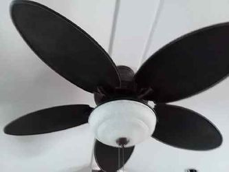 Hunter In Door Or Out Door Fan With REMOTE