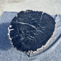 Arhaus Large Petrified Wood 3 Hairpin Legs Coffee Table/End Table