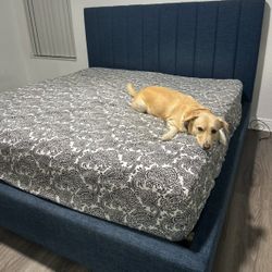 Upholstered Platform Bed. King. Navy Blue