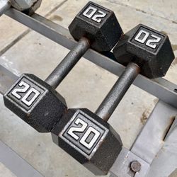 20 lb Dumbbell Pair for Sale
