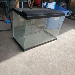 Fish Tank Set Up