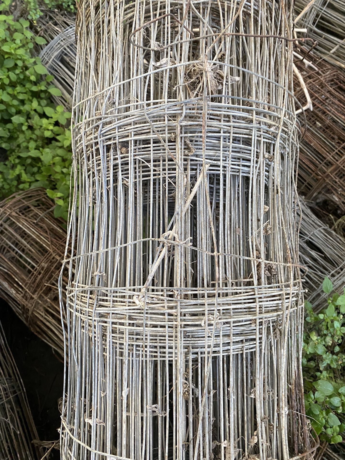 Galvanized wire, mesh