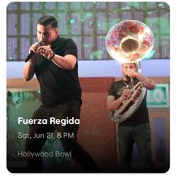 Fuerza Regida 
