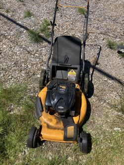 Lawnmower Polyandry Pro