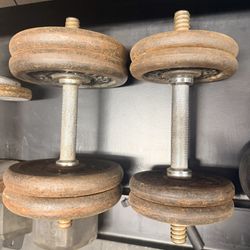 30lb Dumbbells Adjustable 