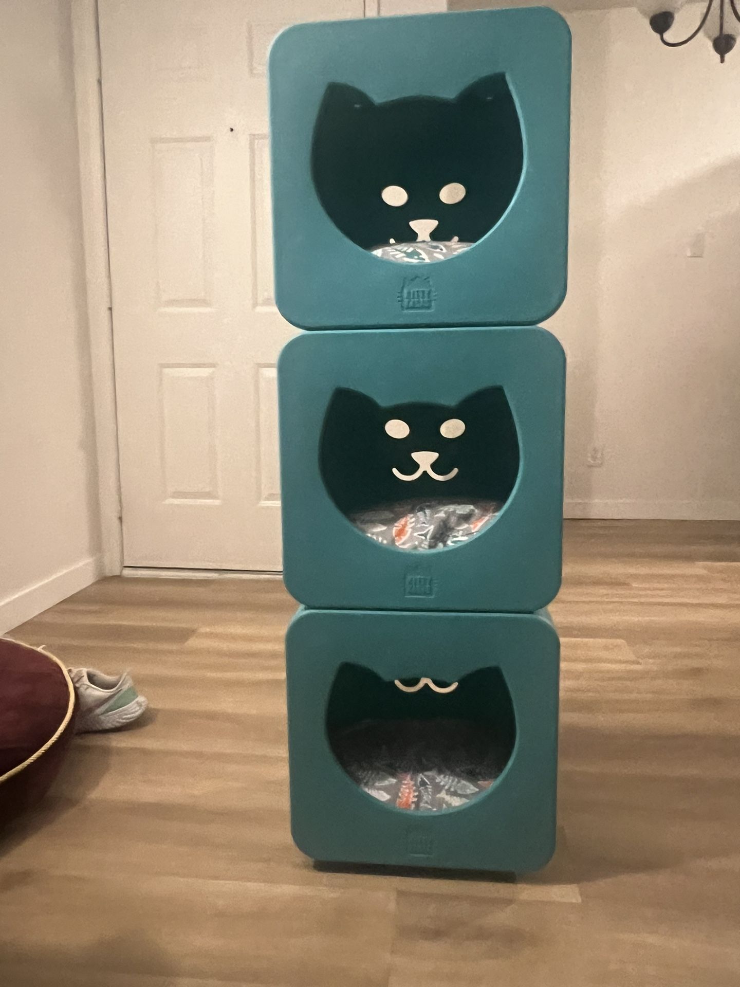 Kitty Kasas