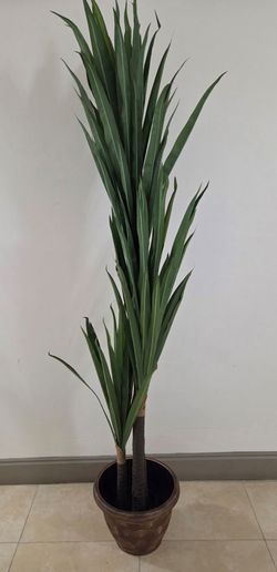 *** NEW LOW PRICE *** 78" Faux Yucca in 13" (Diameter) Gold Circle Planter @ Lasting Creations