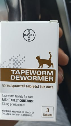 Tapeworm for cats