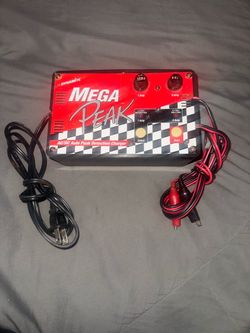 Dynamite Mega Peak AC/DC Auto Peak Detection Charger