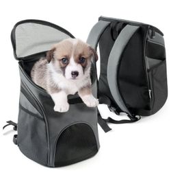 Small dog backpack