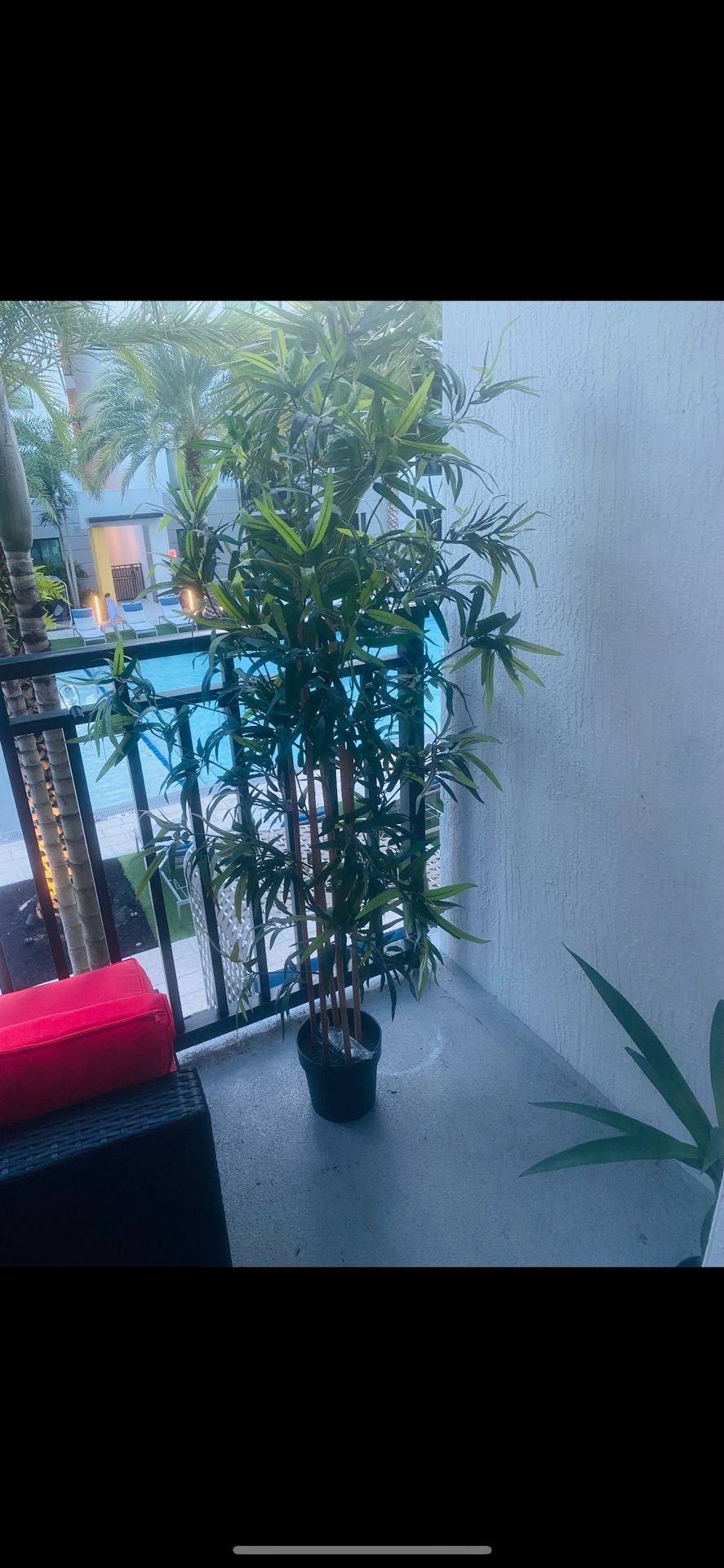 Artificial potted plant, indoor/outdoor bamboo, 9 "
