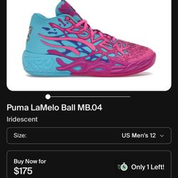LaMelo ball basketball dhoes