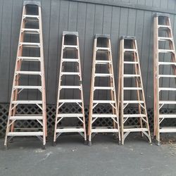 8ft and 10ft 12ft Ladders