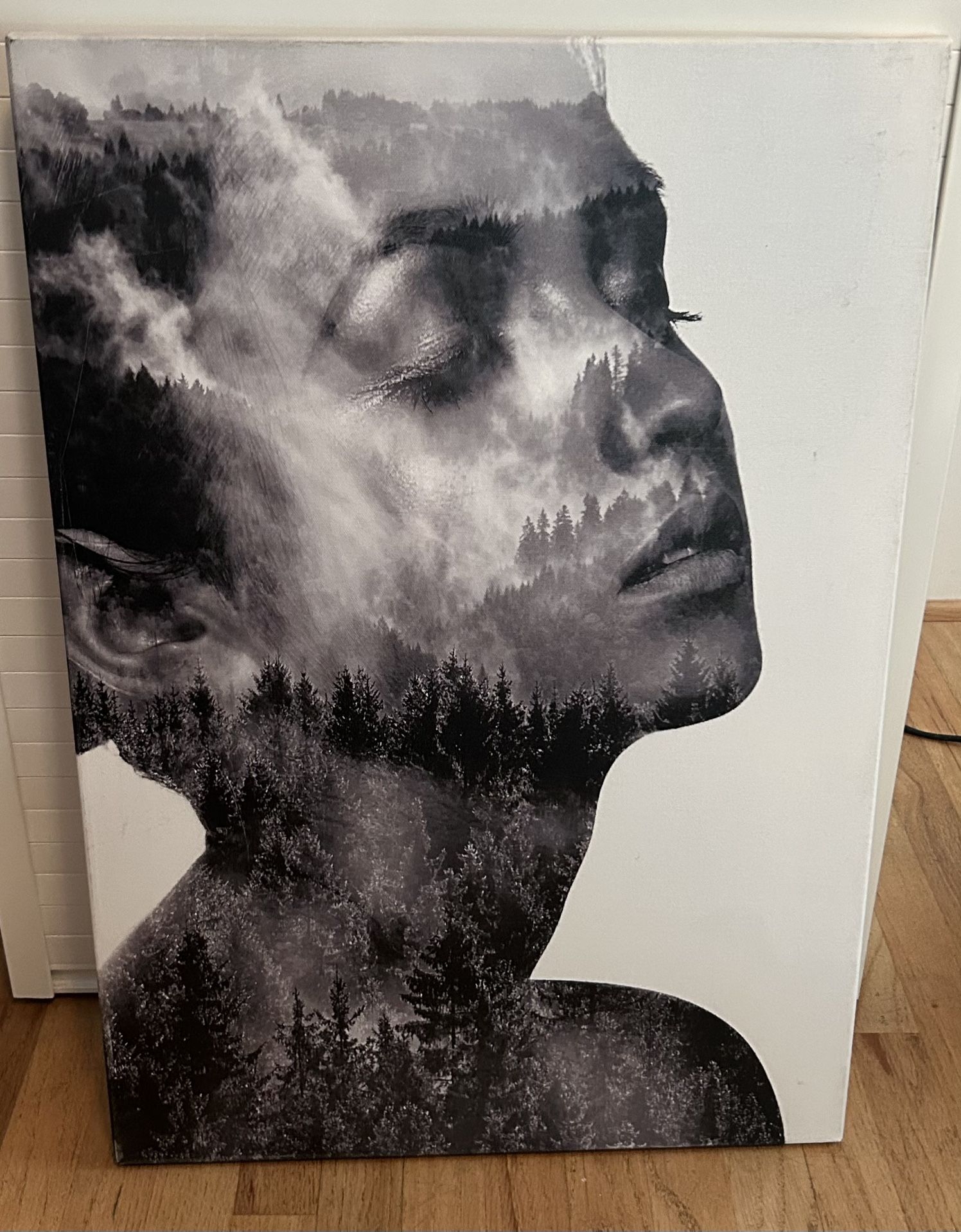 Abstract Woman and Forest Canvas Art