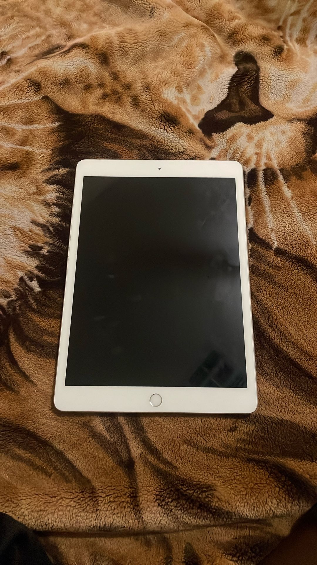 iPad 8 Gen