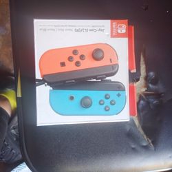 Nintendo Switch Joy-Con
