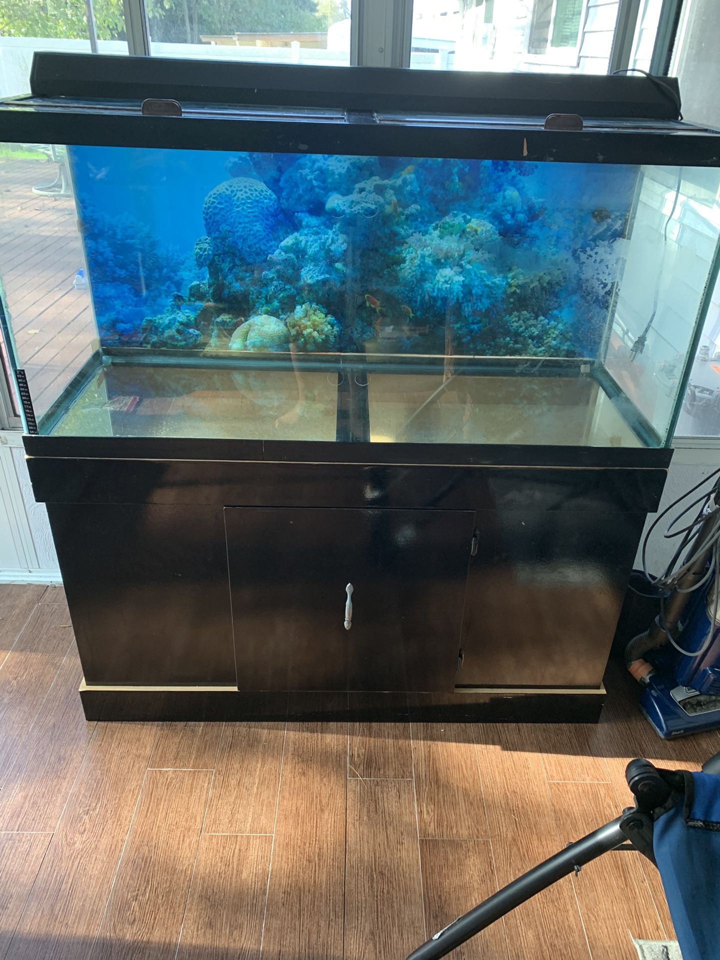 75 gallon fish tank with ligh