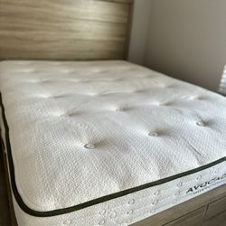 Queen Avocado Green Mattress Organic