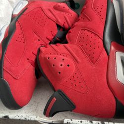 Jordan 6 Torros 