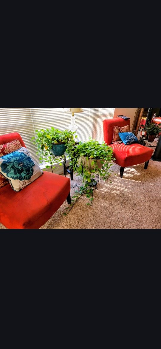 4 Piece Furniture For Sell