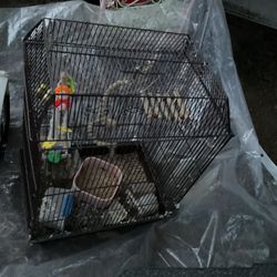 A  Black Bird Cage (21” X 12”) Furnished , And A Pet Carrier (18” X 11”) Both For $25