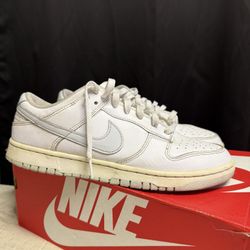 Dunks Size 9.5 Men