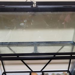 55 Gallon Tank