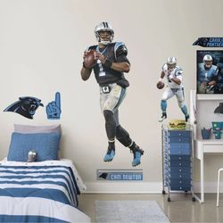 Cam newton fathead package