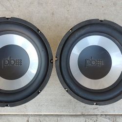 10 Inch Subwoofer's 