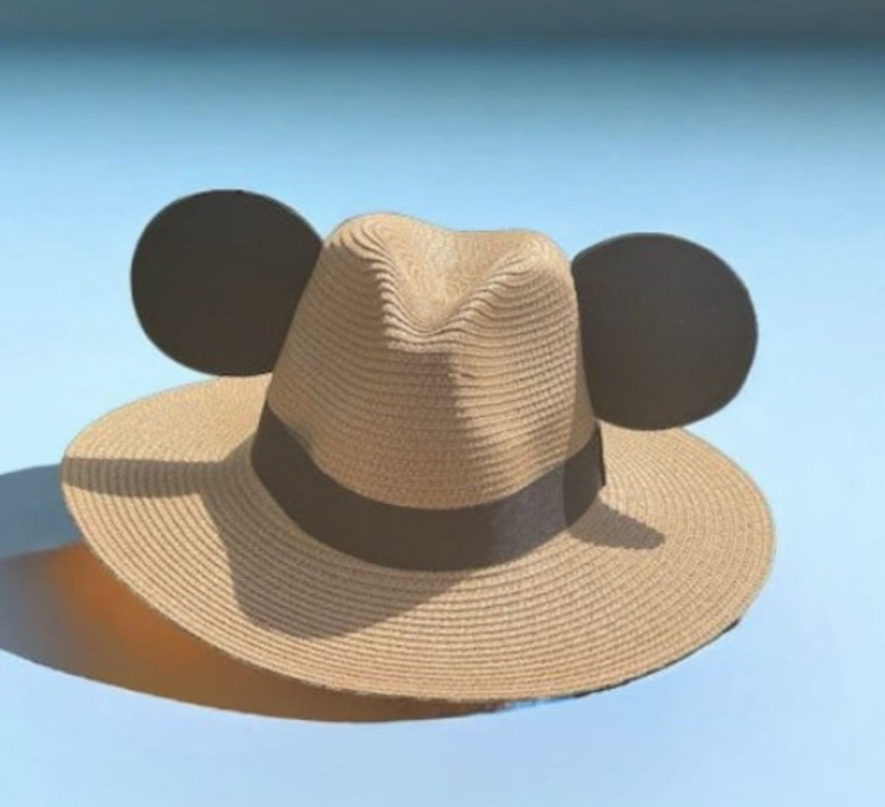 Disney hat With Ears