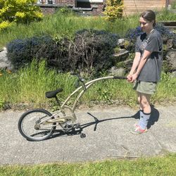 Kids Trail Bike Attachment