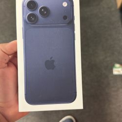 17 Pro Max With Cricket !