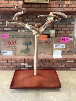 Parrot / Macaw Java Tree Rolling Stand New