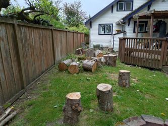 Cedar Rounds