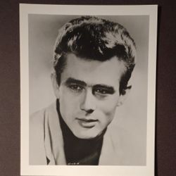 James Dean Celebrity Actor Movie Star 8x10 Glossy Vintage Still Photo Picture