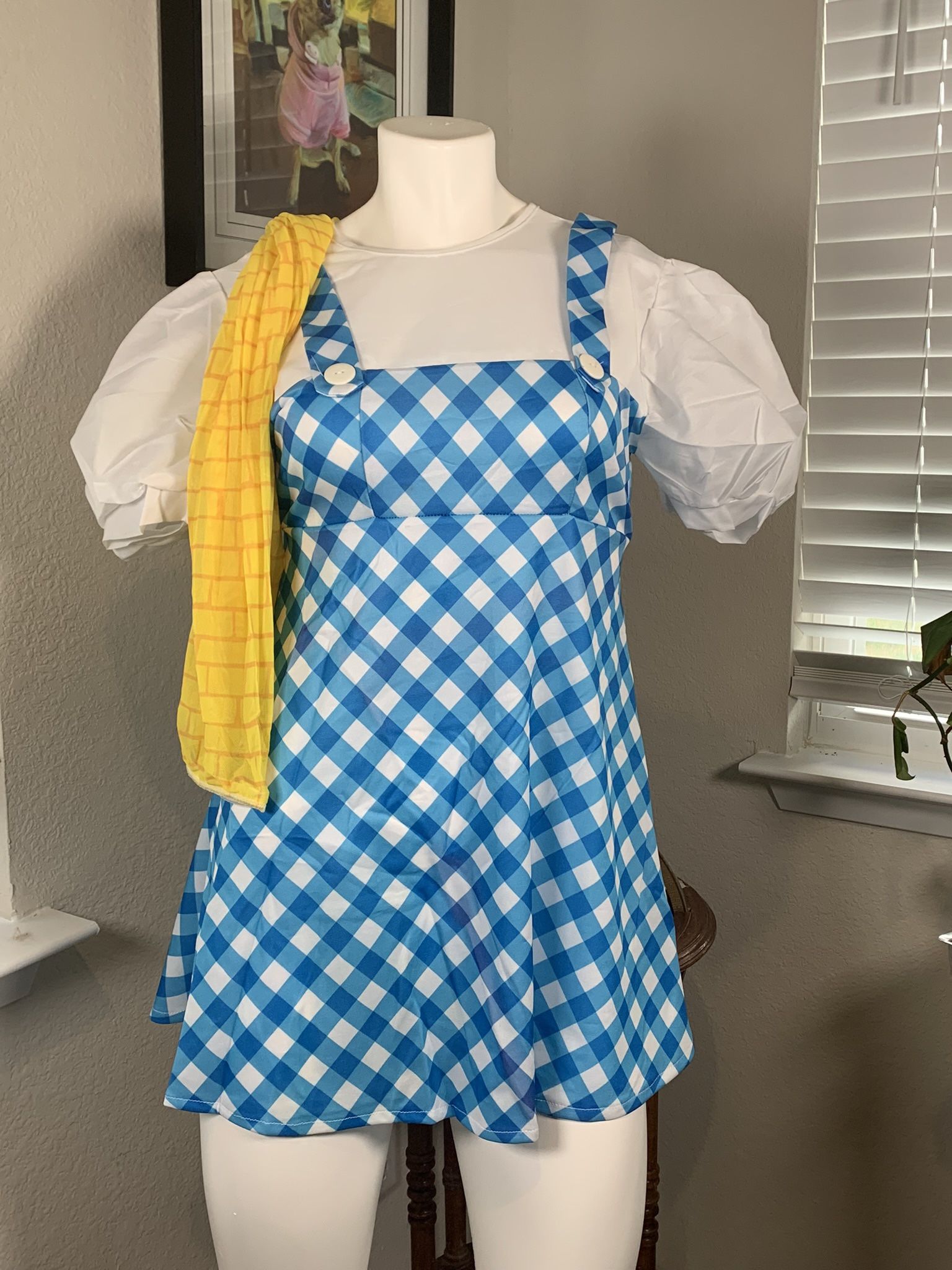 Adults Dorothy Wizard of Oz with yellow brick tights sz M