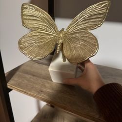 Butterfly 🦋 Decor