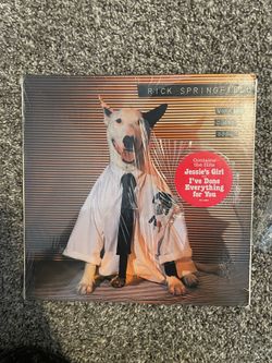 Rick Springfield’s Working Class Dog