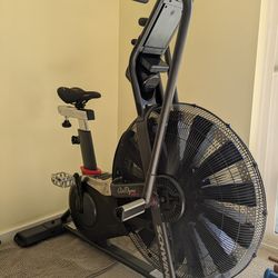 Schwinn AD 7 Airdyne Fan Bike - Like NEW