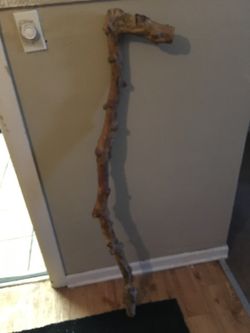 Walking stick