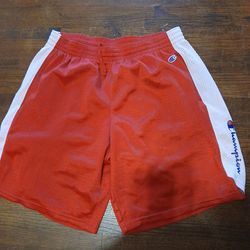 Men Clothes Size xl Champion Shorts