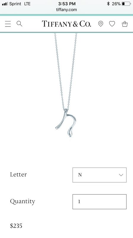 N initial Tiffany and Co. necklace