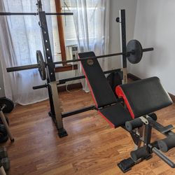 Gold's gym bench bar hotsell