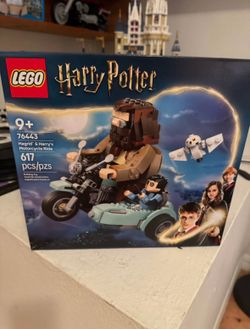 LEGO® Harry Potter 76443