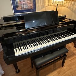 1980s Tokai (Giacoletti) Baby Grand Piano Black Finish