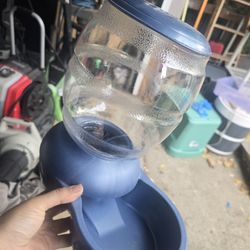 Pet Supplies