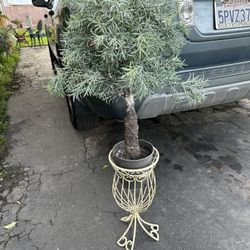 Tree Artificial Like 35 Inches 